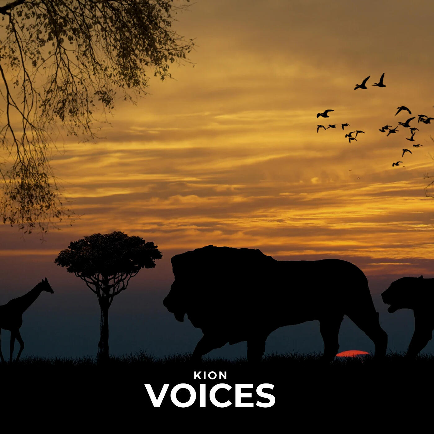 Релиз Voices