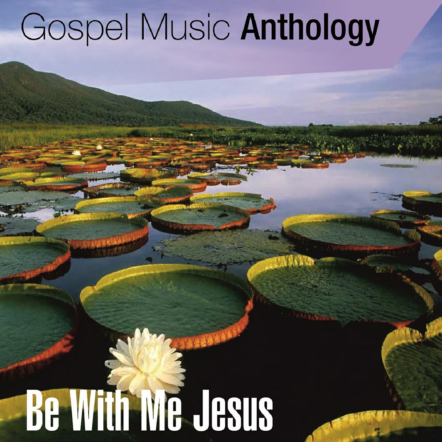 Релиз Gospel Music Anthology