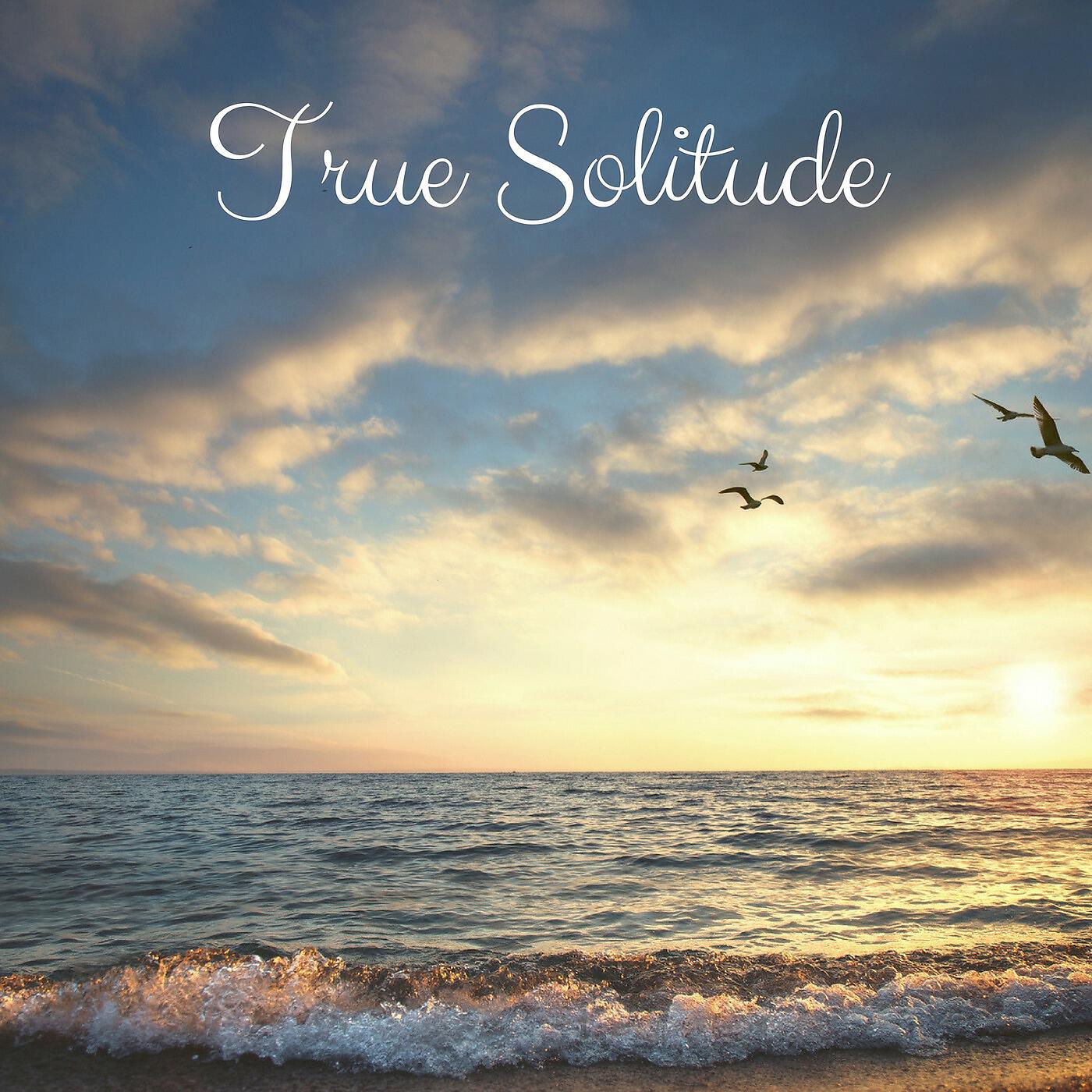 Релиз True Solitude
