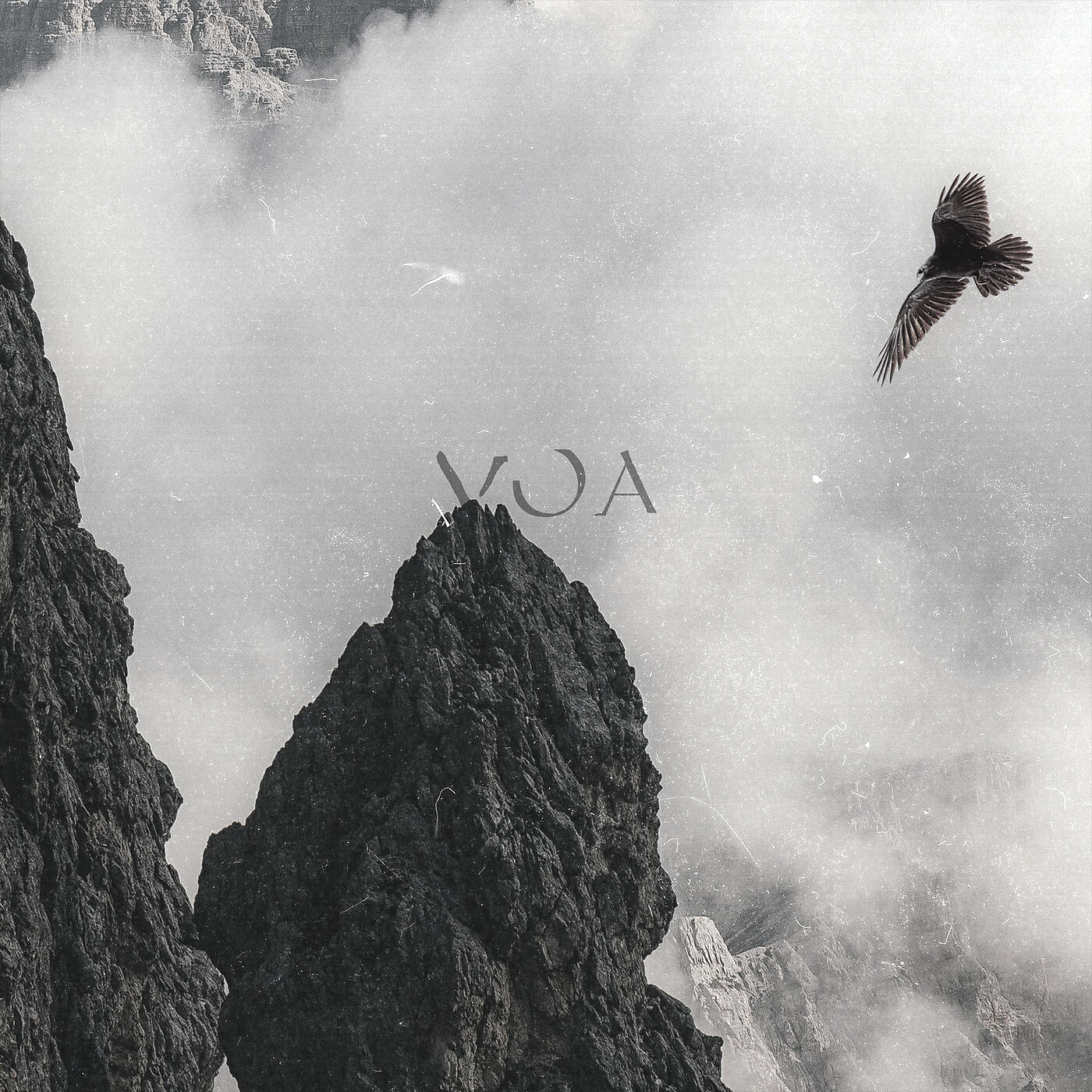 Релиз Voa