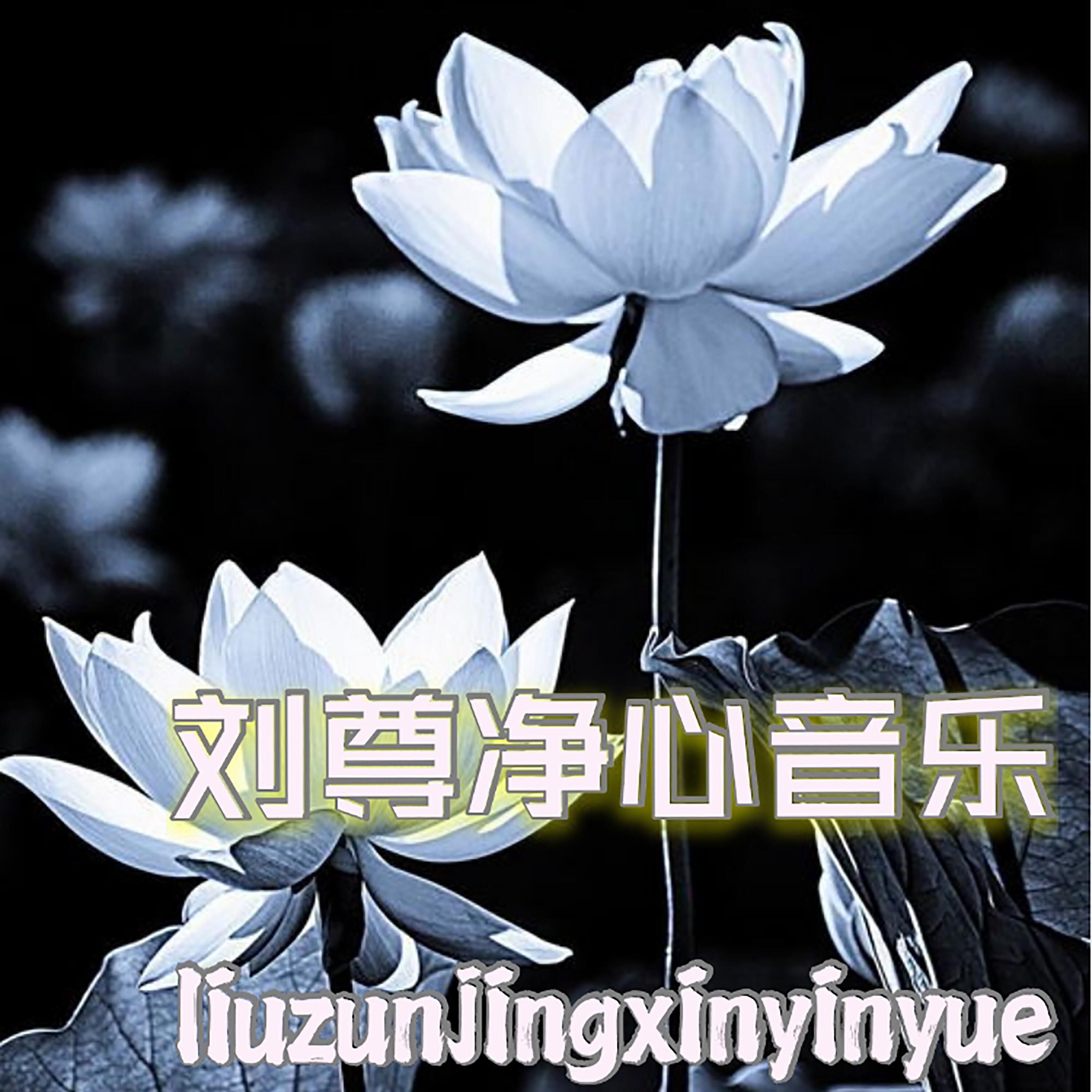 Релиз 刘尊净心音乐