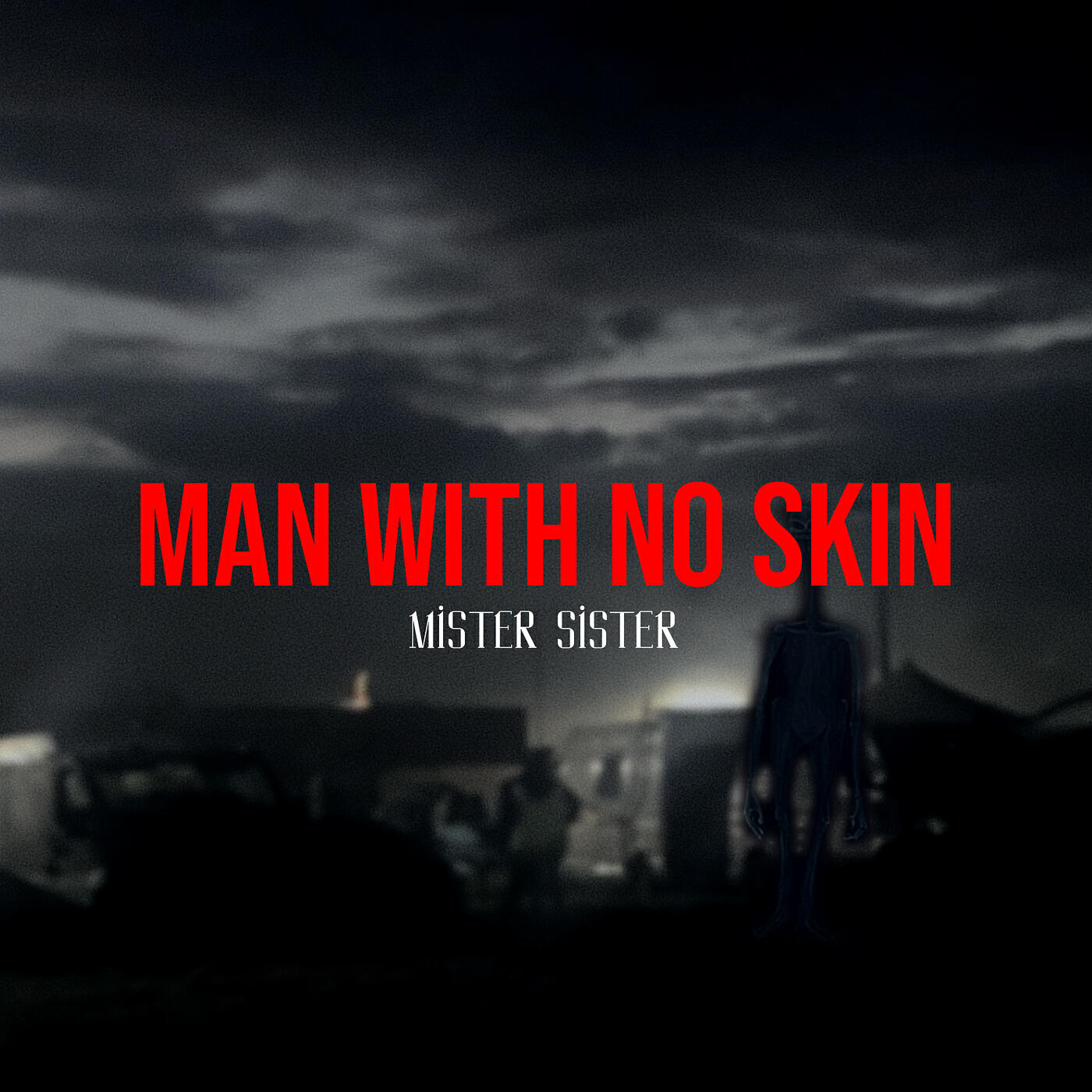 Постер альбома Man With No Skin