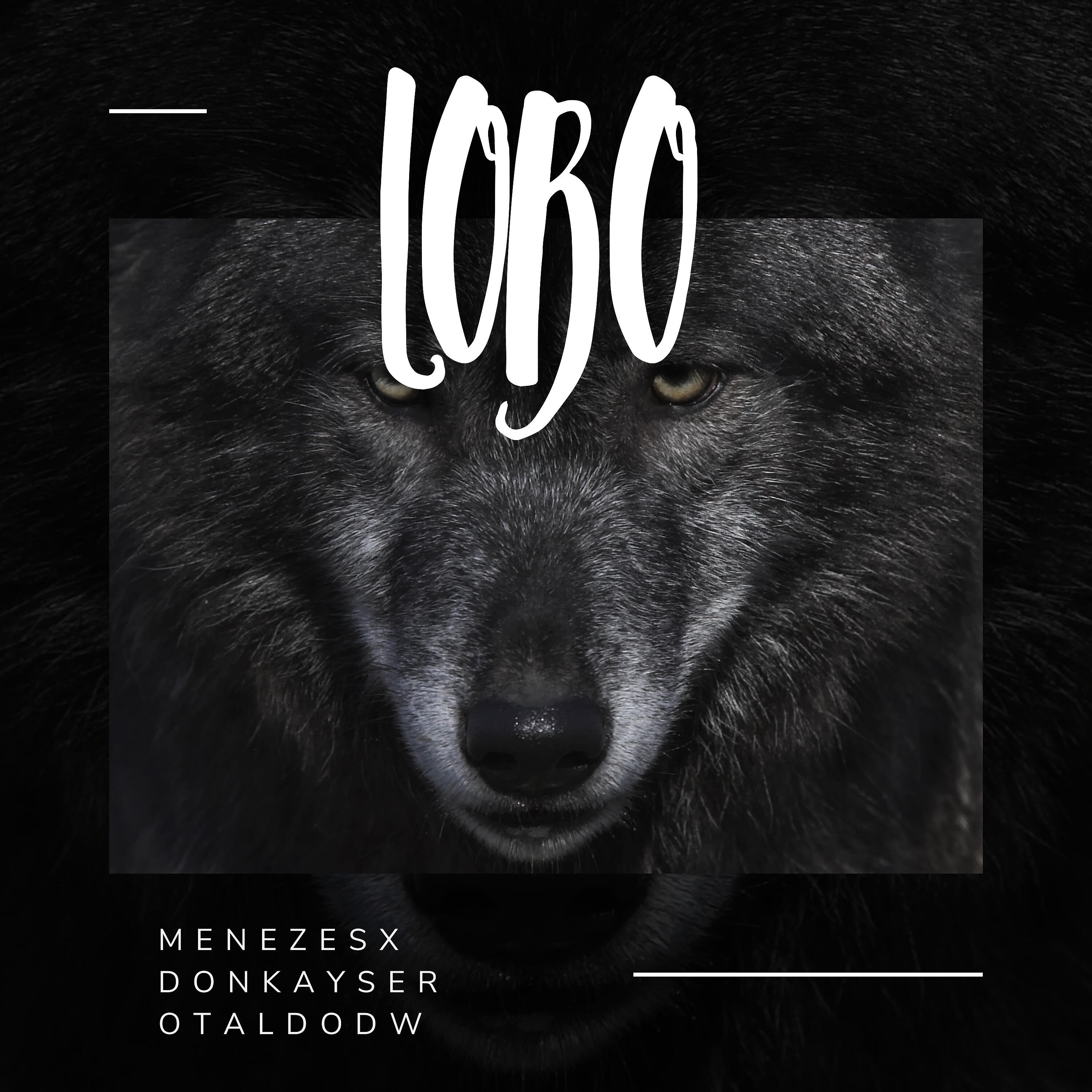 Релиз Lobo
