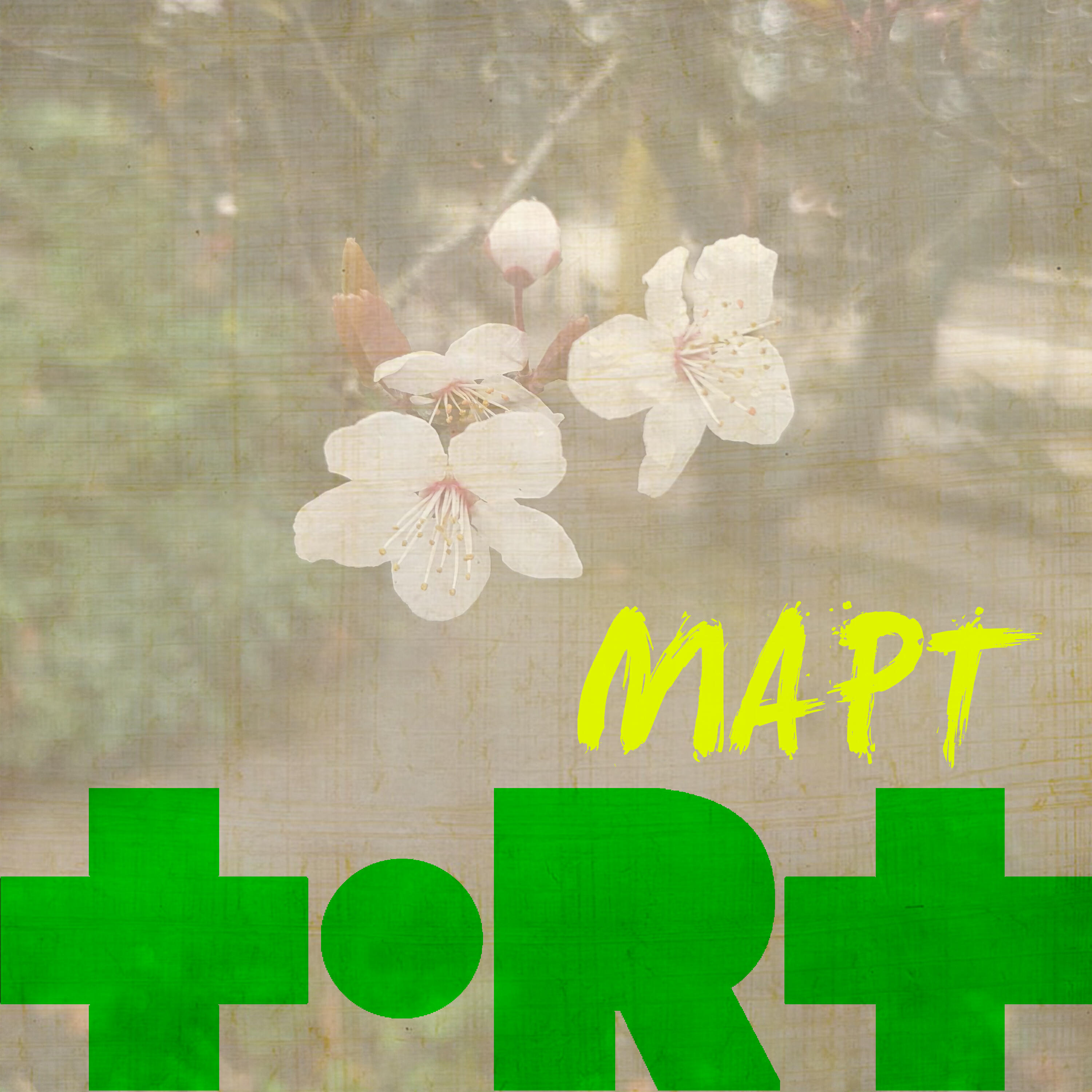 Релиз МАРТ