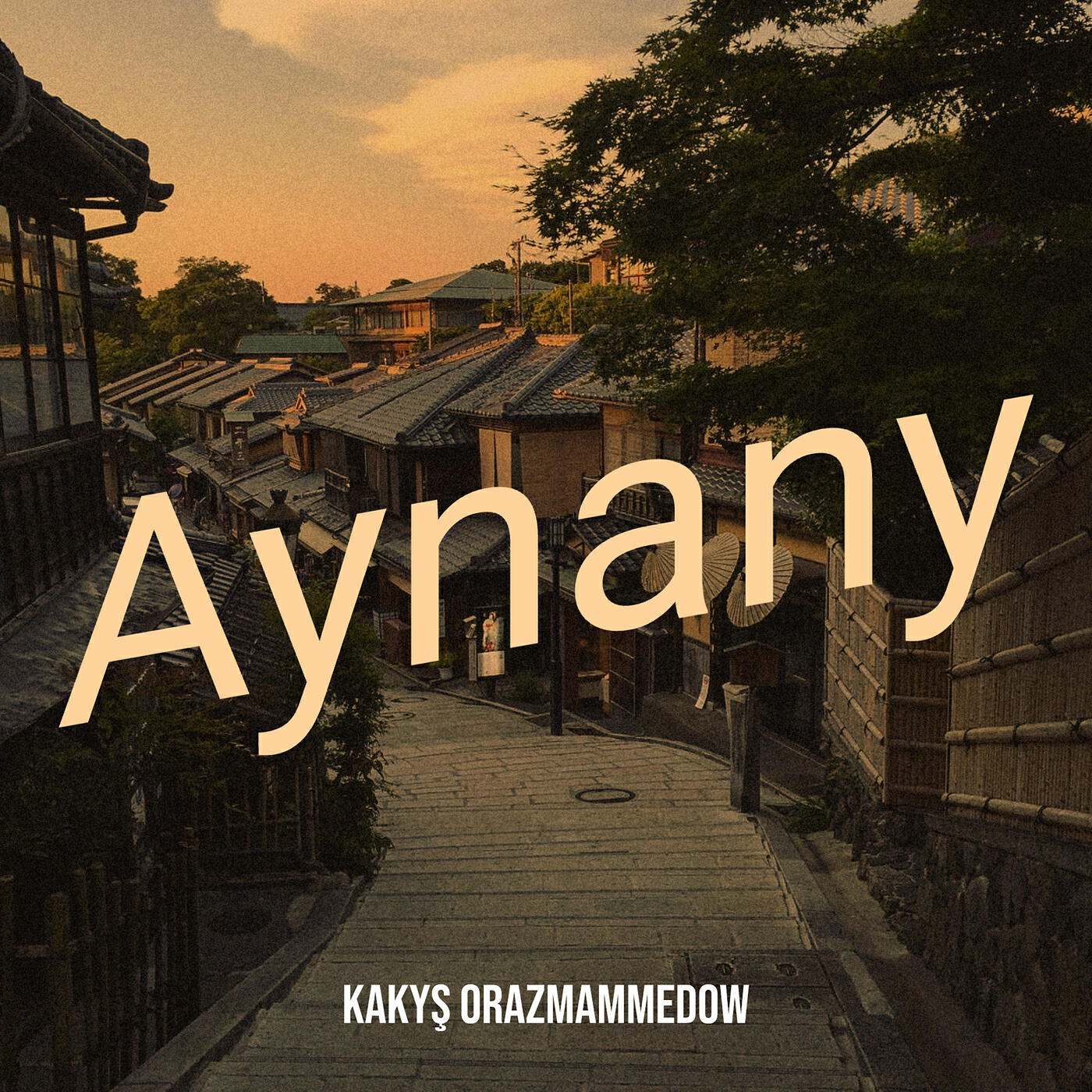 Релиз Aynany