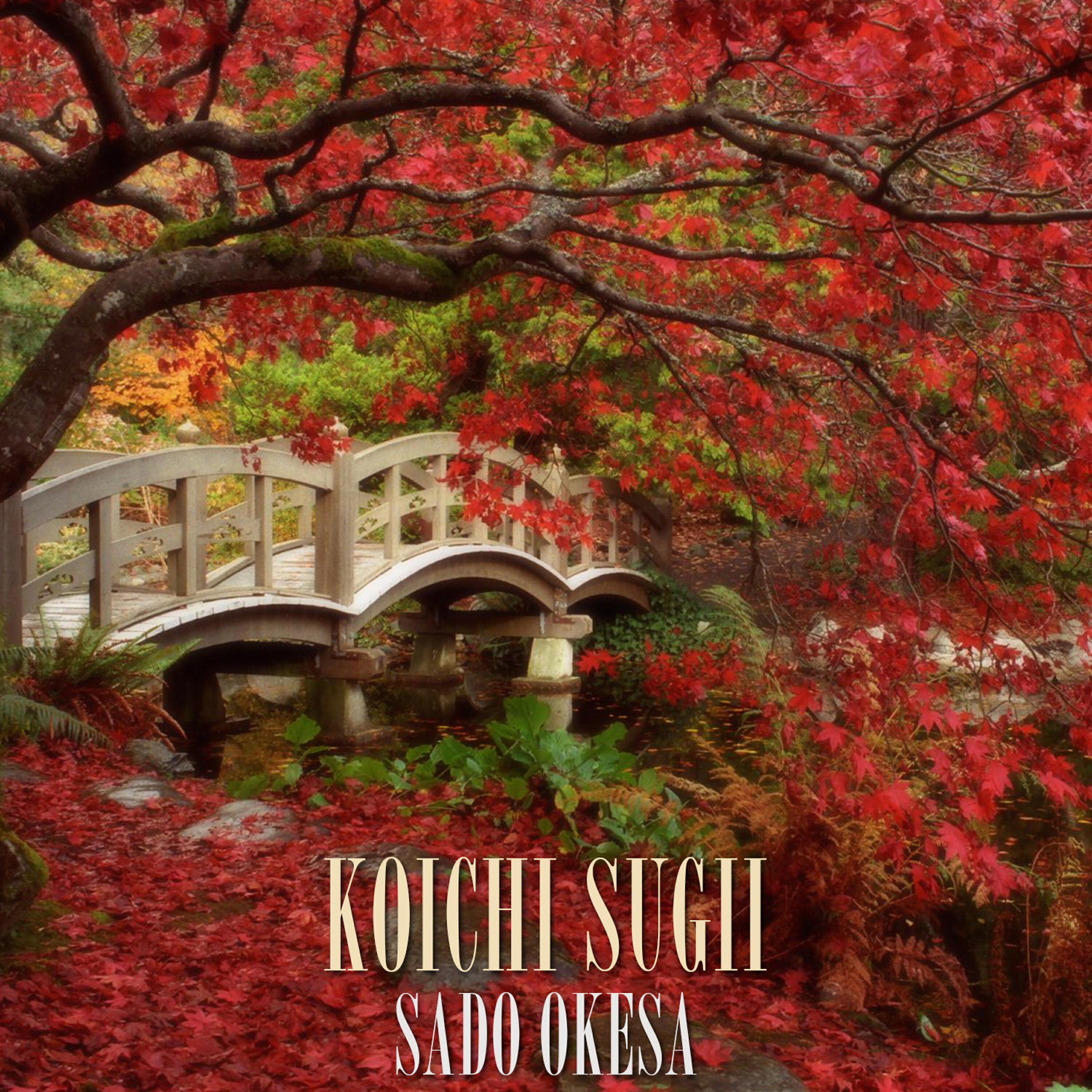 Релиз Sado Okesa