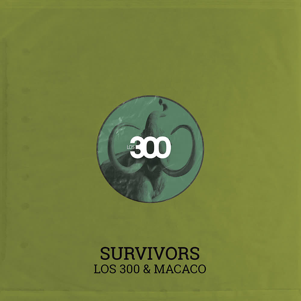 Постер альбома Survivors