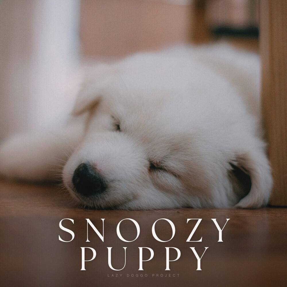 Релиз Snoozy Puppy