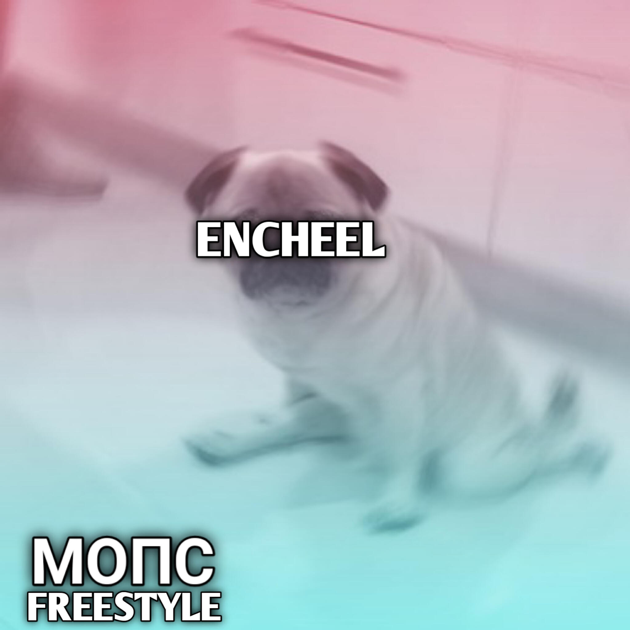 ENCHEEL