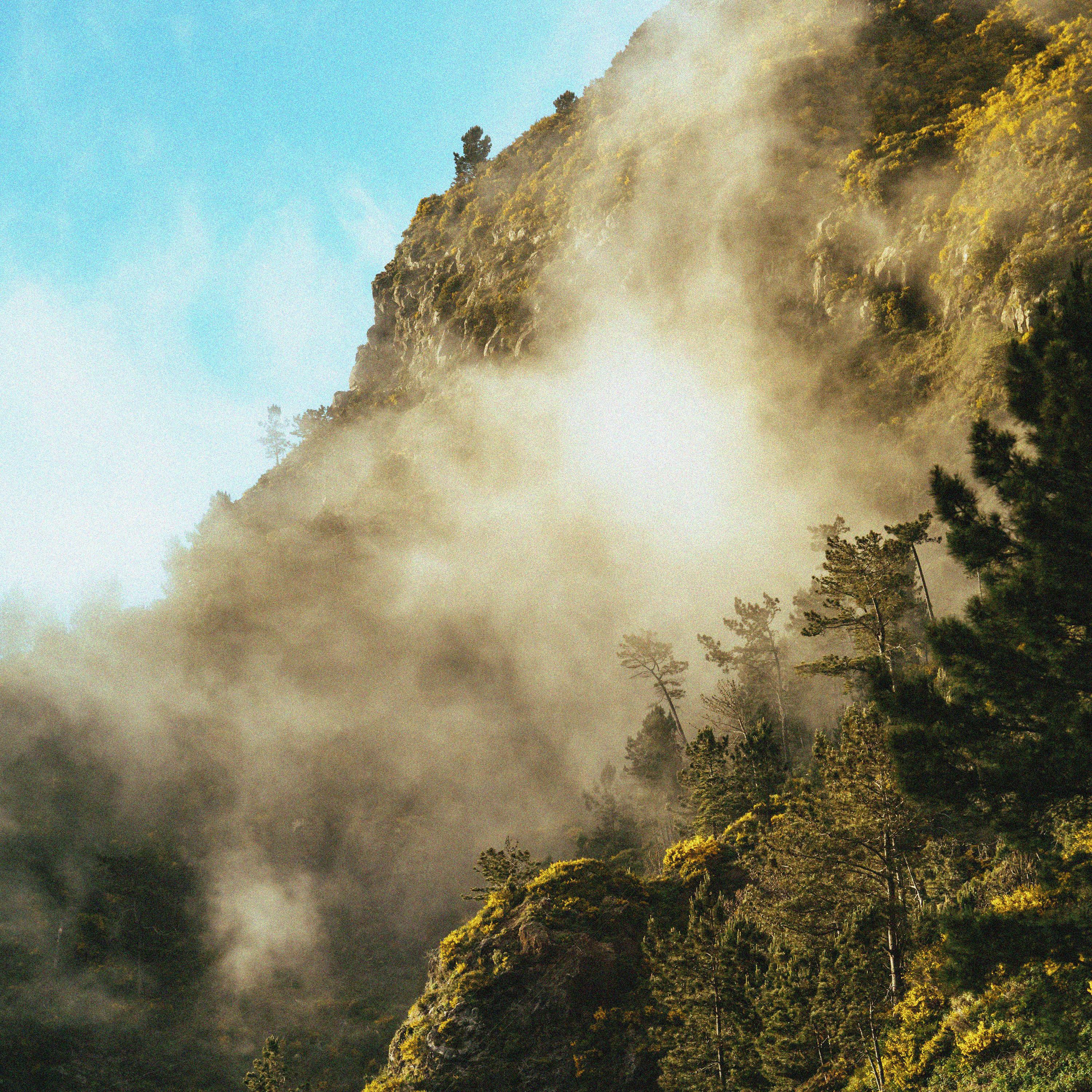 Релиз A Gentle Breeze