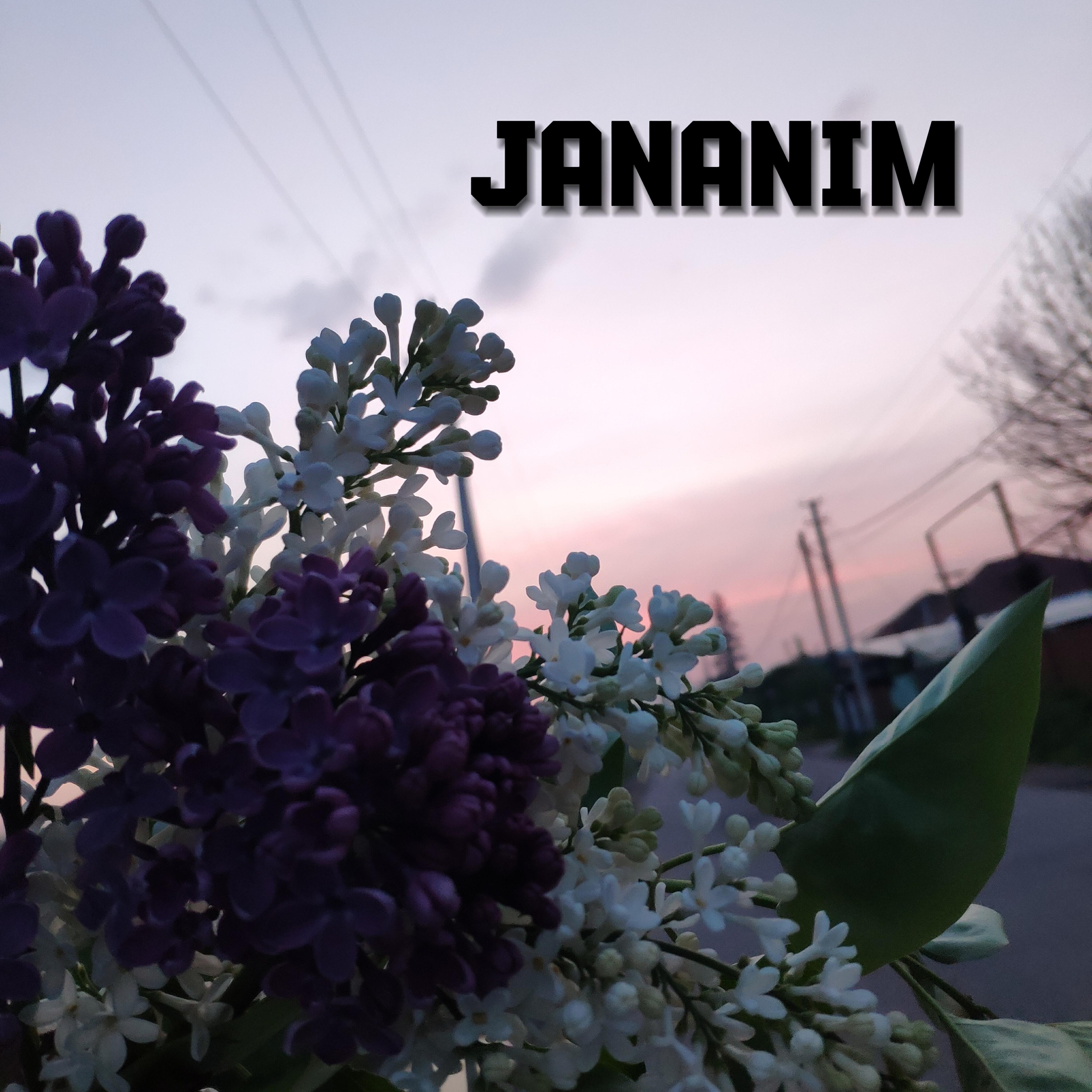 Релиз Jananim