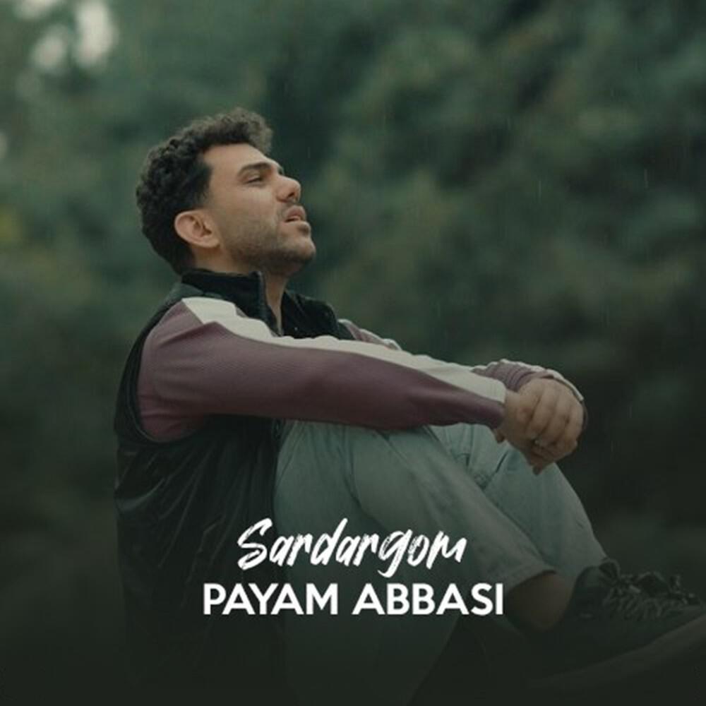 Релиз Sardargom