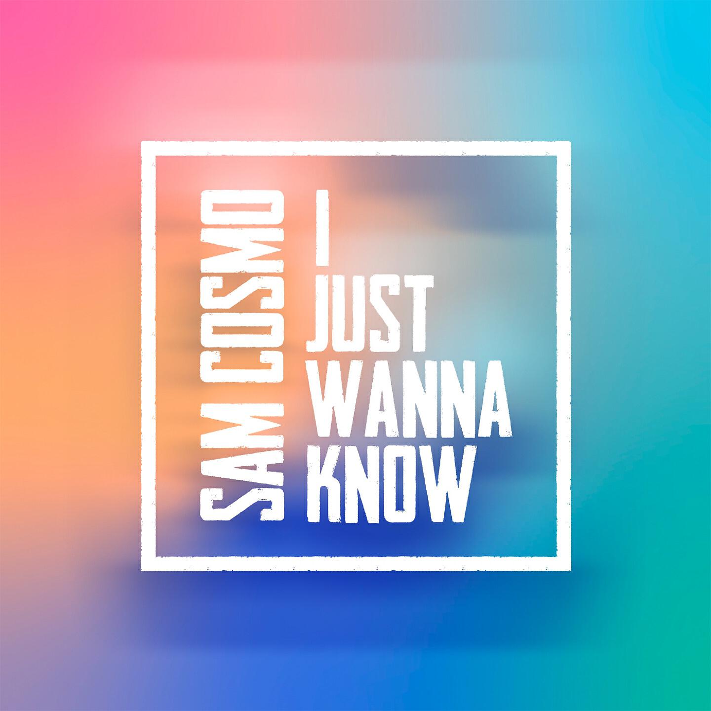 Релиз I Just Wanna Know