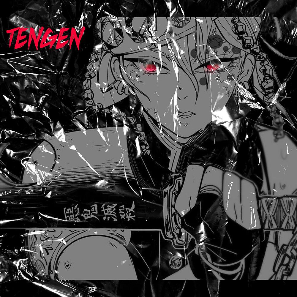 Релиз Tengen