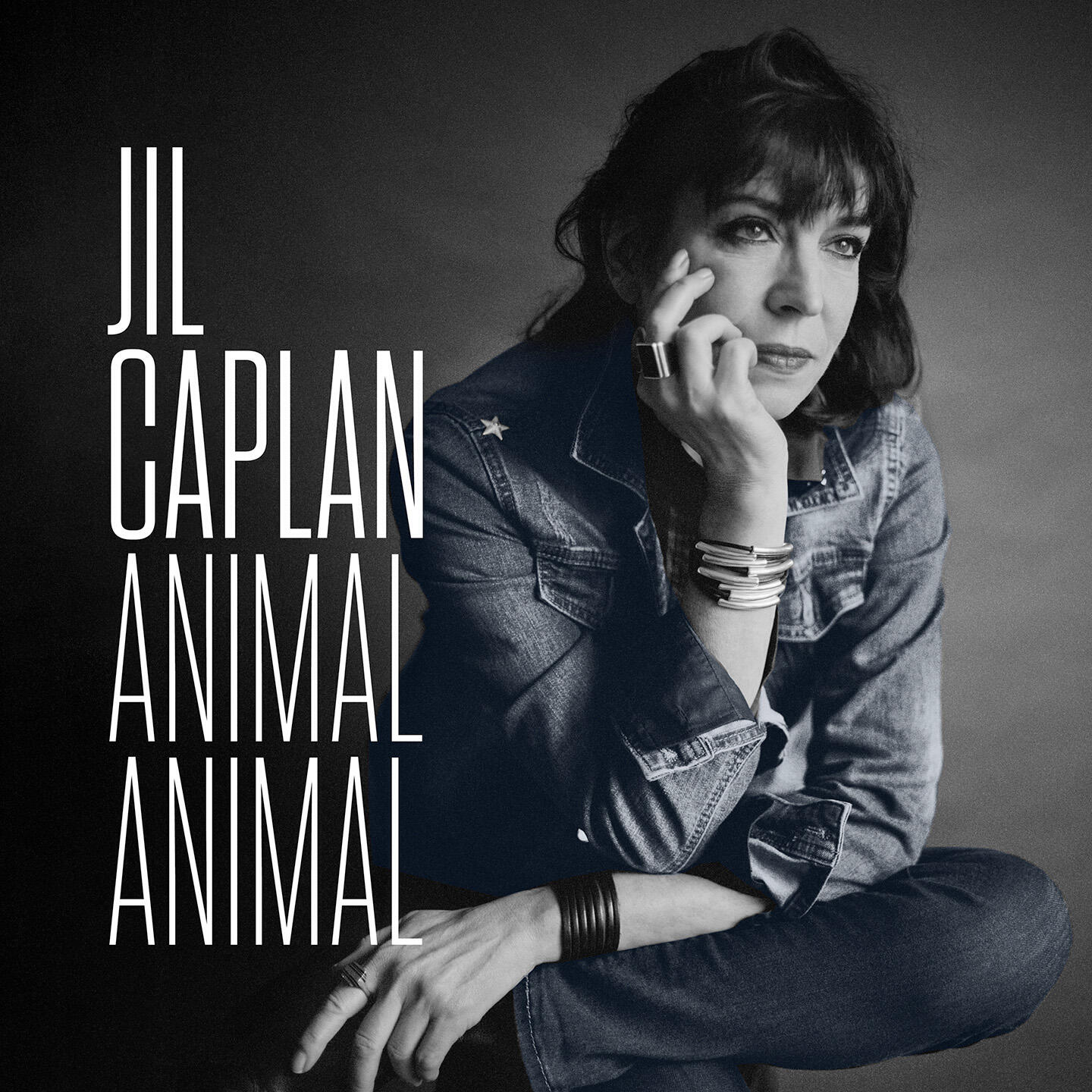 Релиз Animal Animal