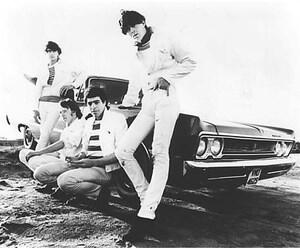 The Barracudas