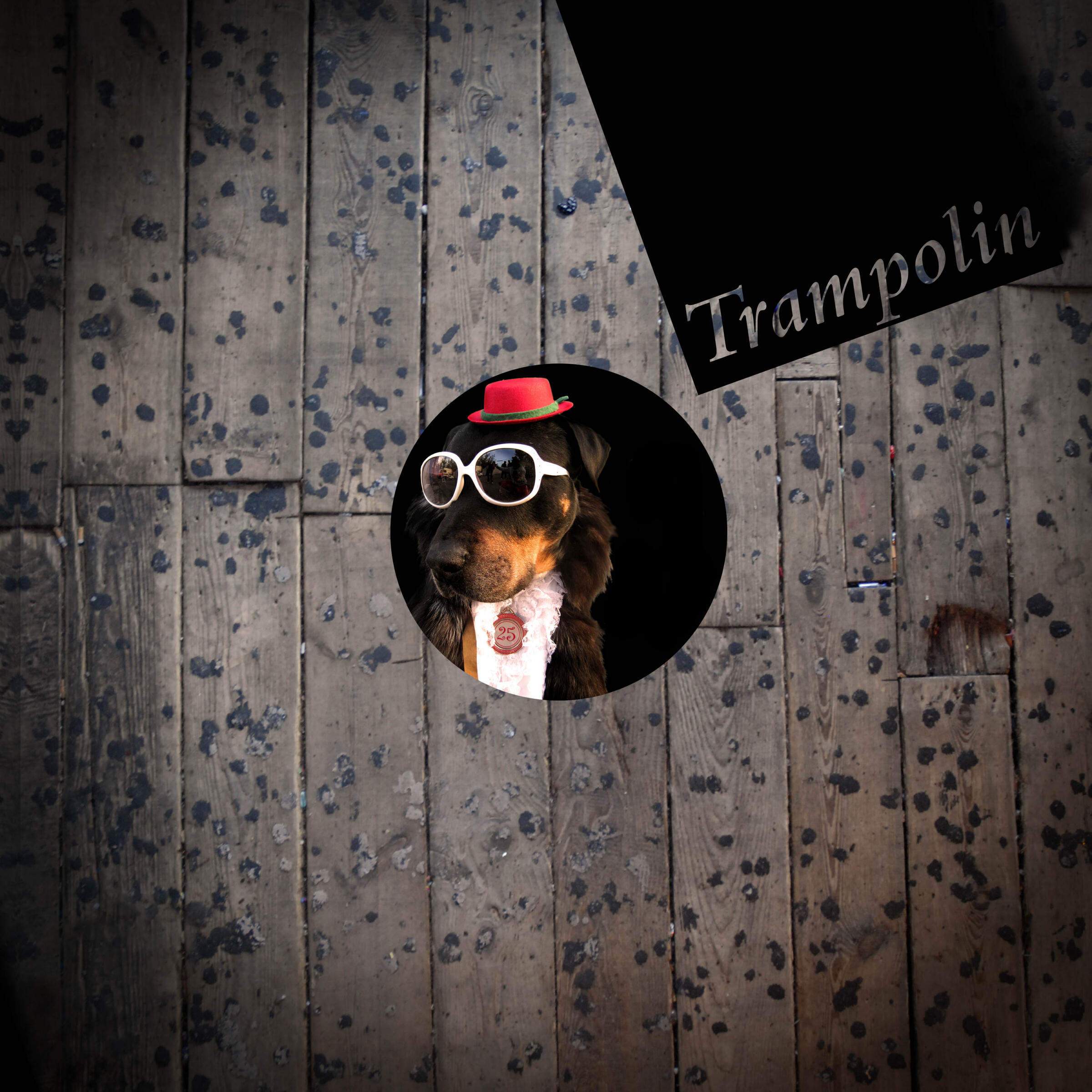 Релиз Trampolin