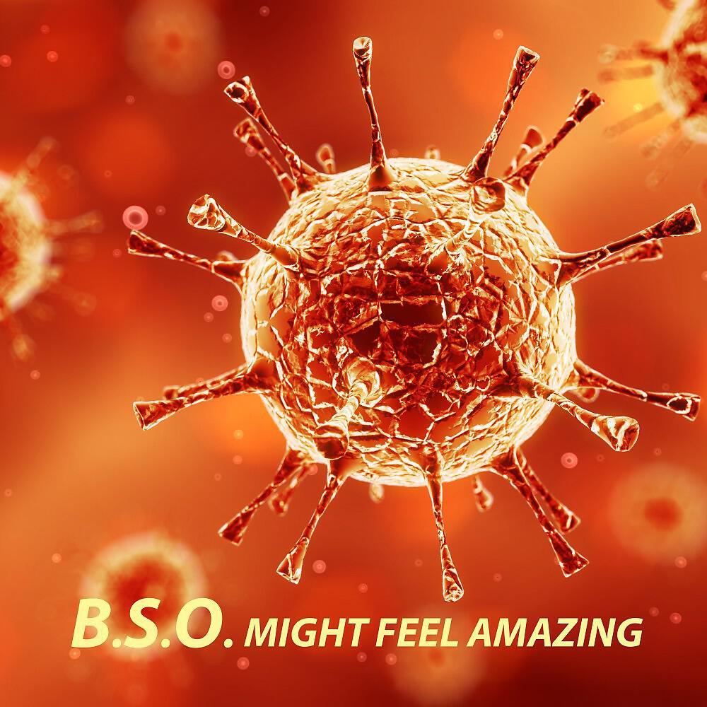 B.s.o.