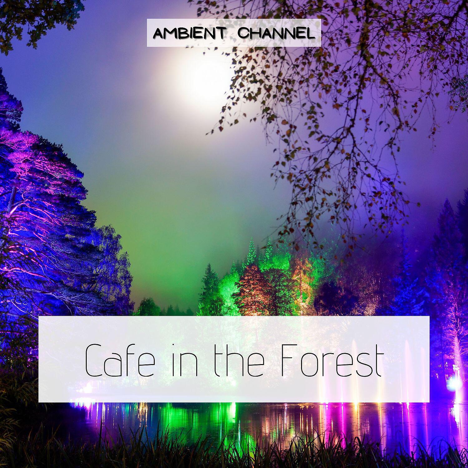 Релиз Cafe in the Forest