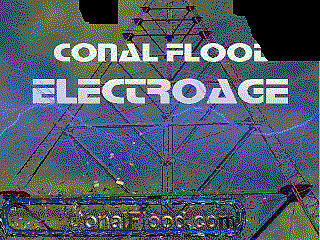 Conal Flood
