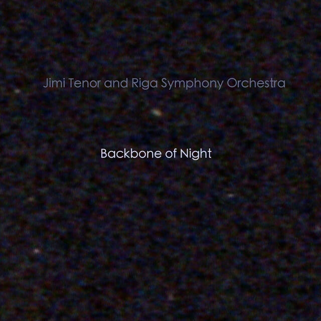 Riga Symphony Orchestra