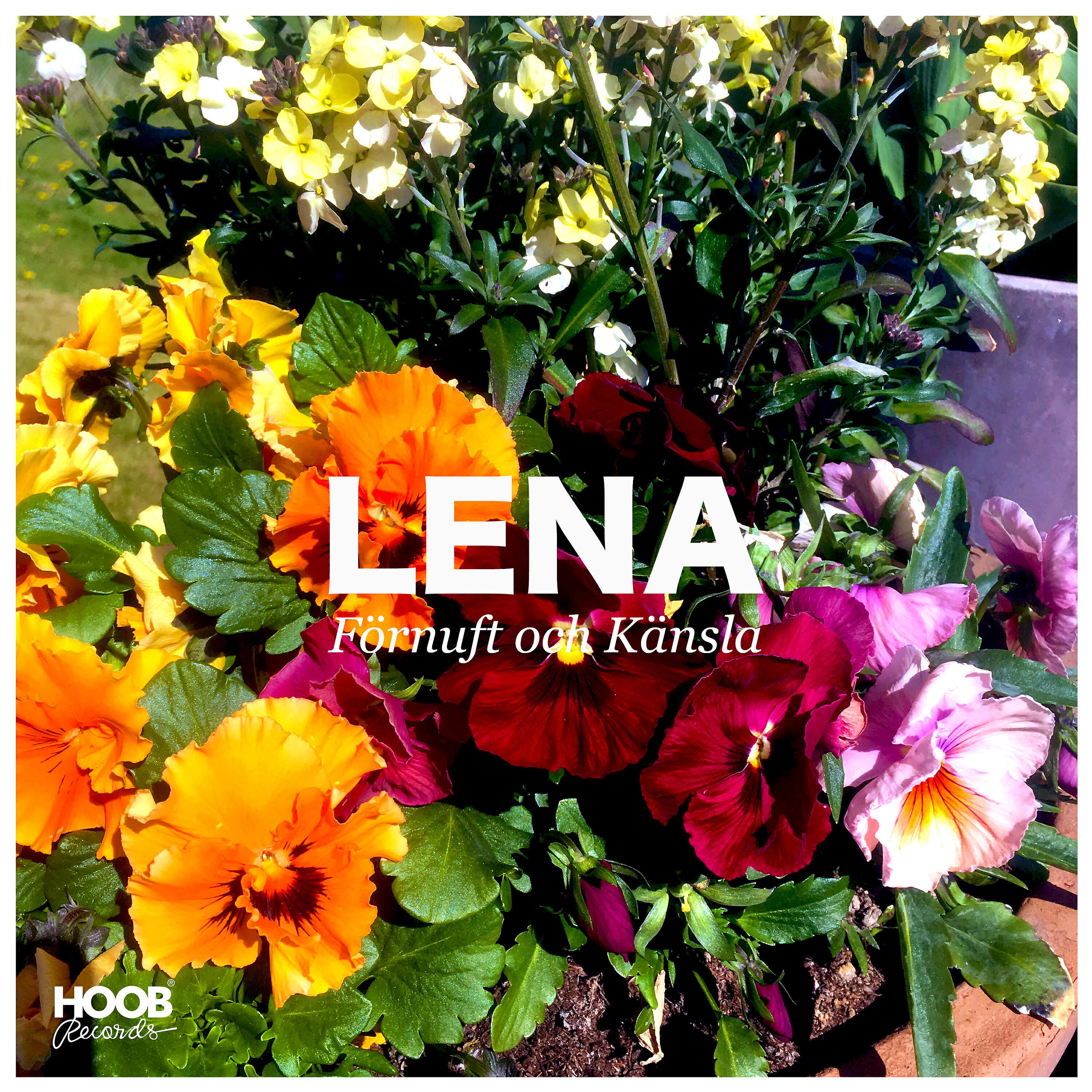 Релиз Lena