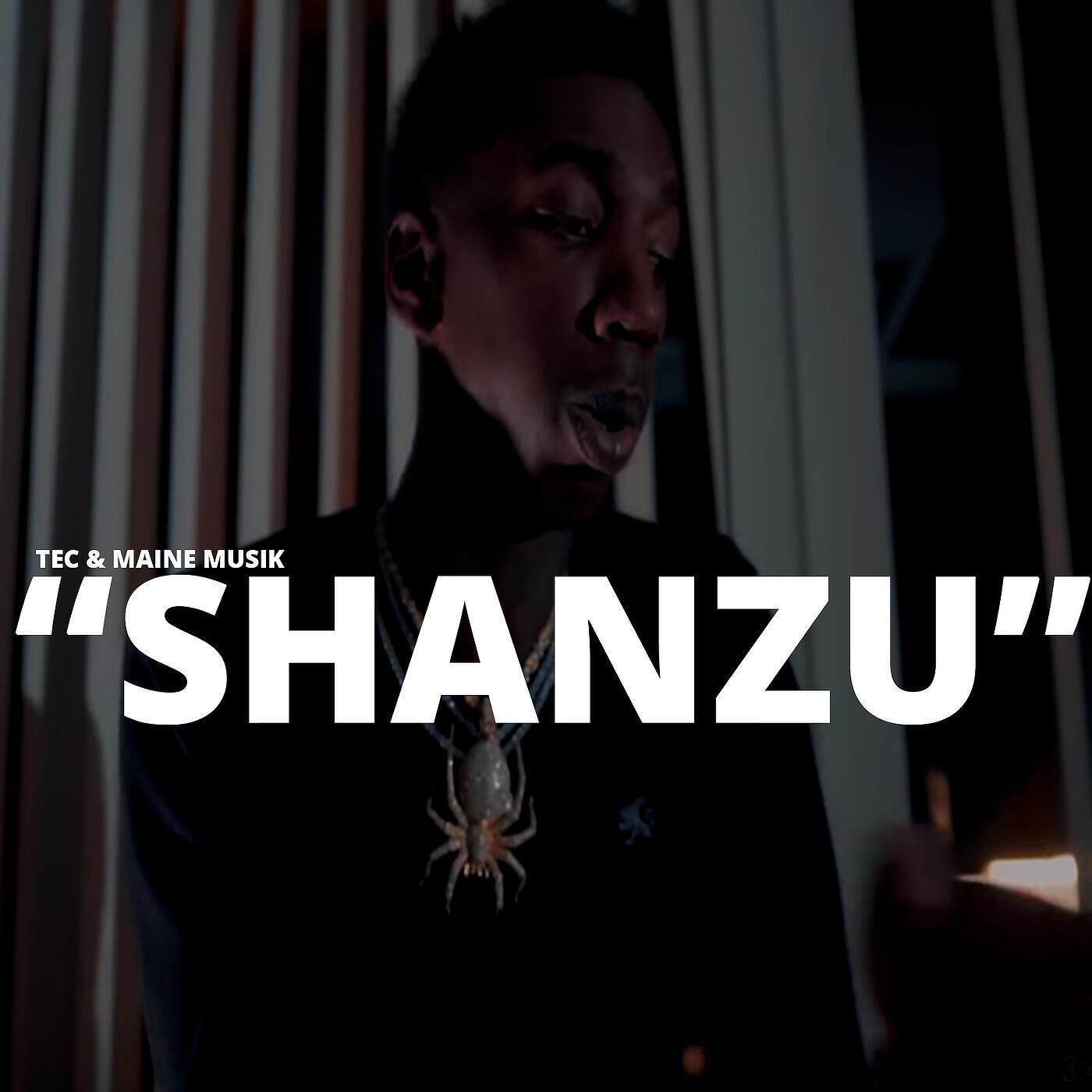Релиз Shanzu