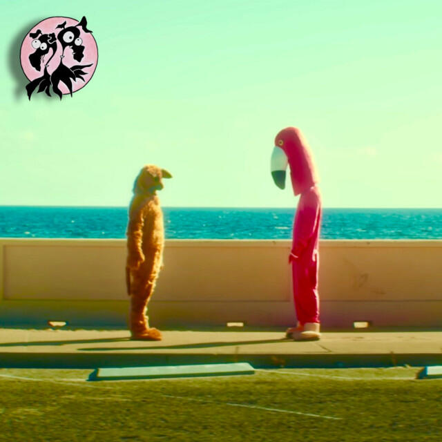 Flamingo Dogs