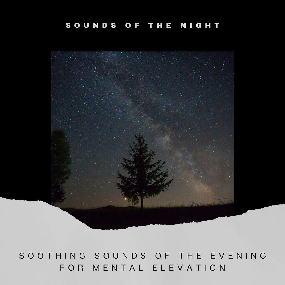 Релиз Soothing Sounds of the Evening for Mental Elevation