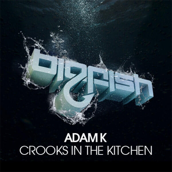 Релиз Crooks In The Kitchen