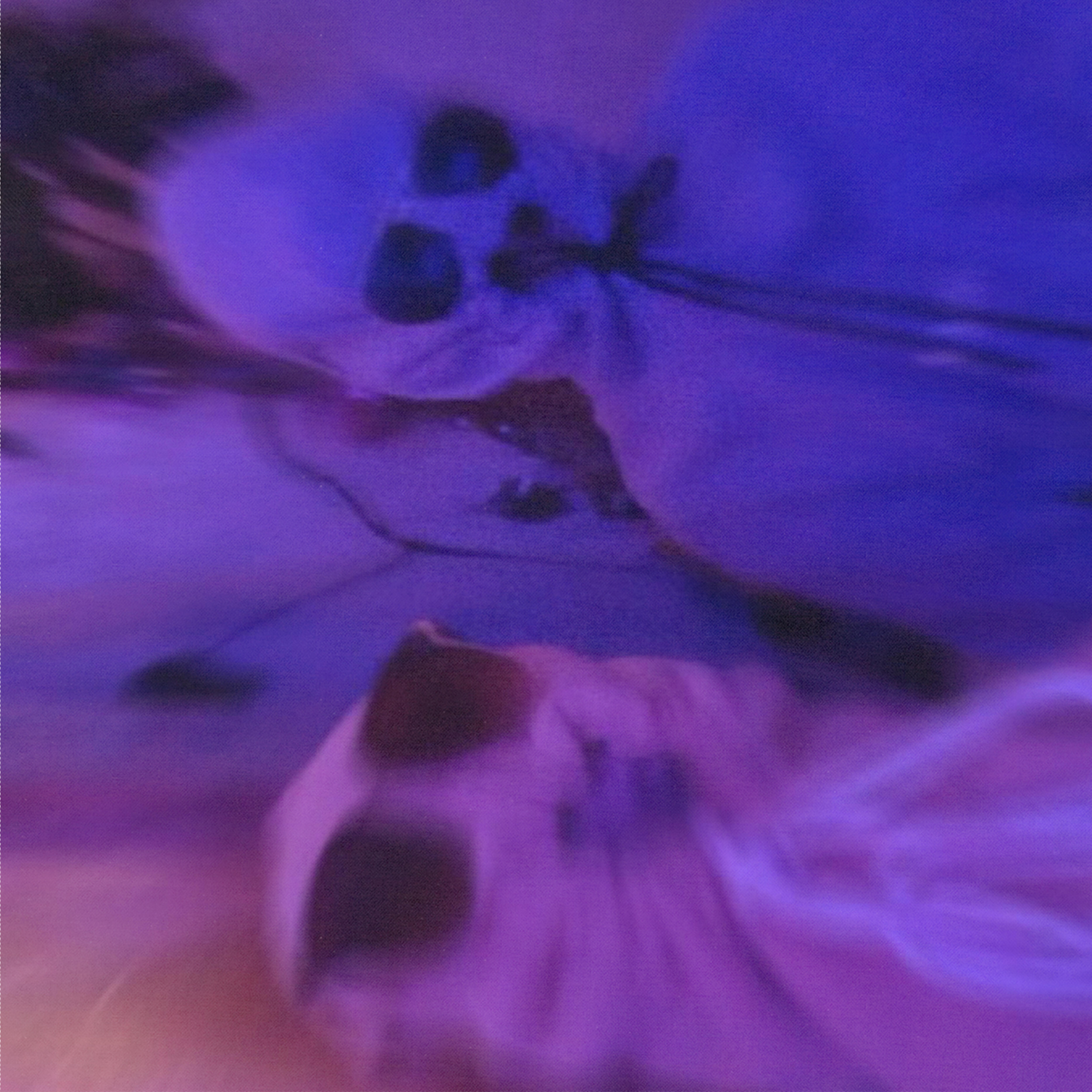 sneepy