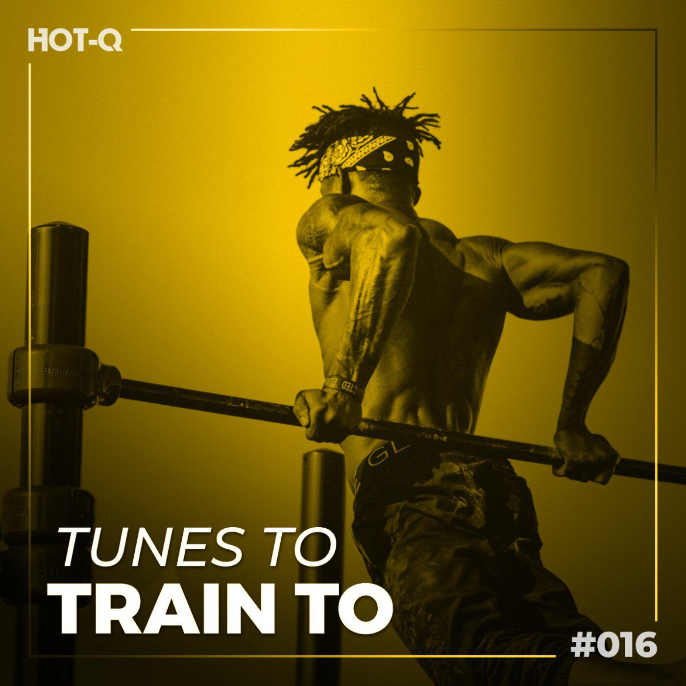 Релиз Tunes To Train To 016