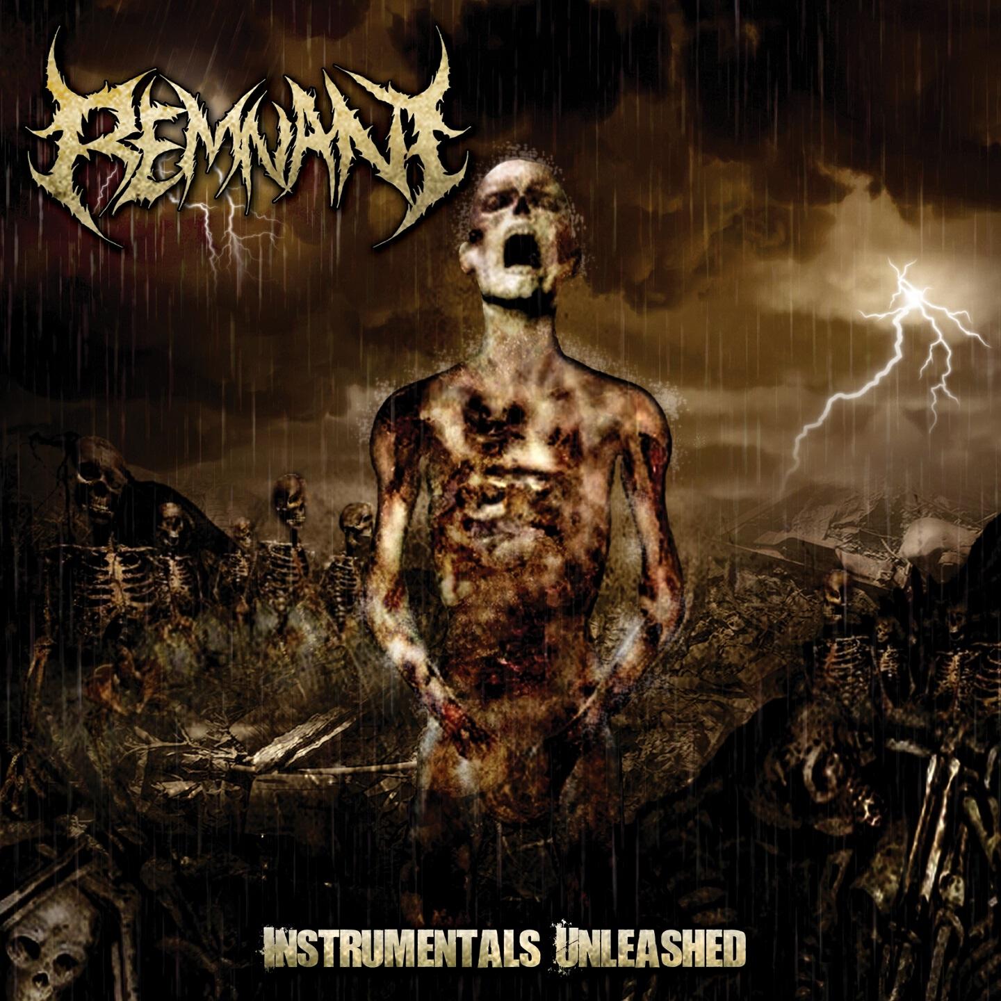 Релиз Instrumentals Unleashed