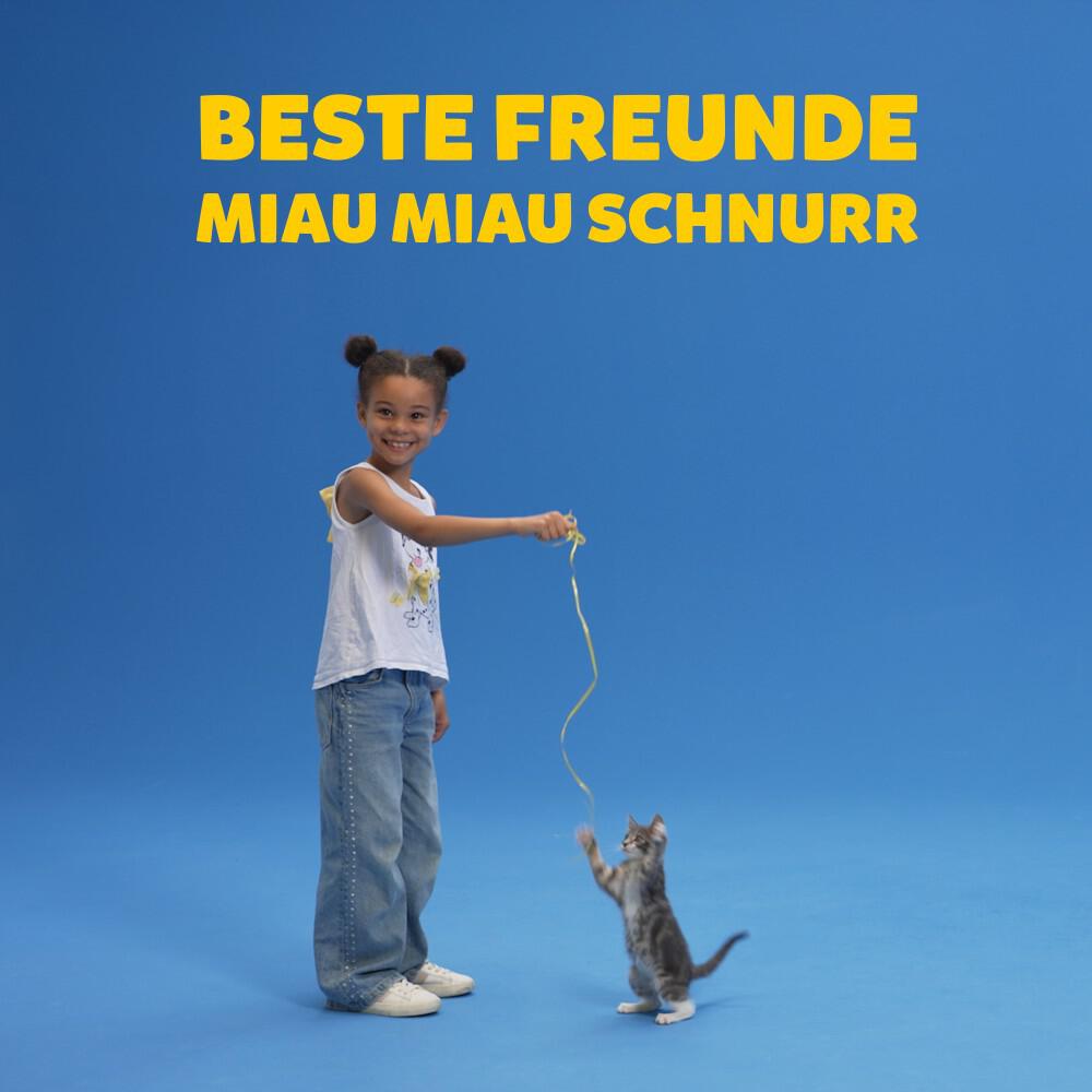 Релиз Beste Freunde Miau Miau Schnurr