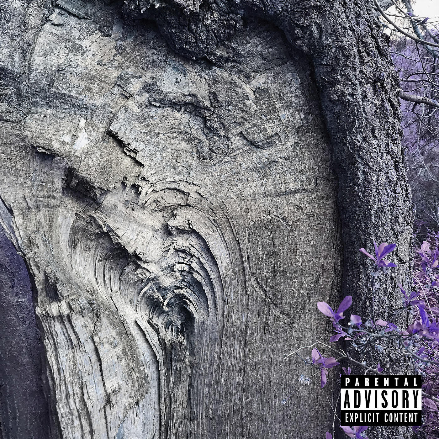 Релиз Tree Carvings