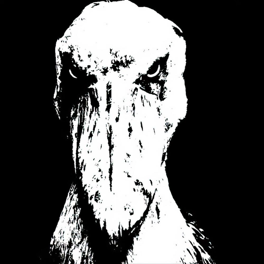 Релиз Drvch