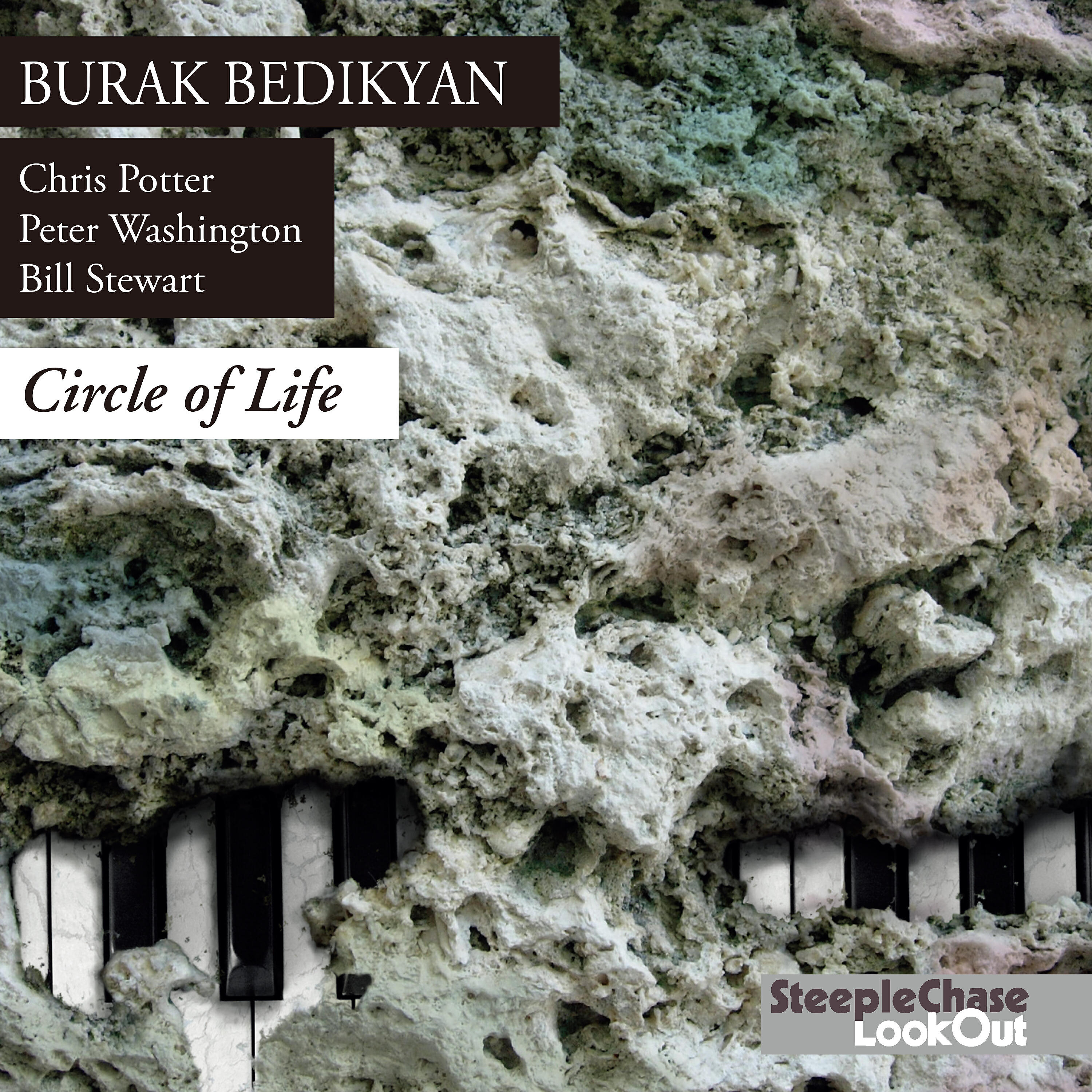 Релиз Circle of Life