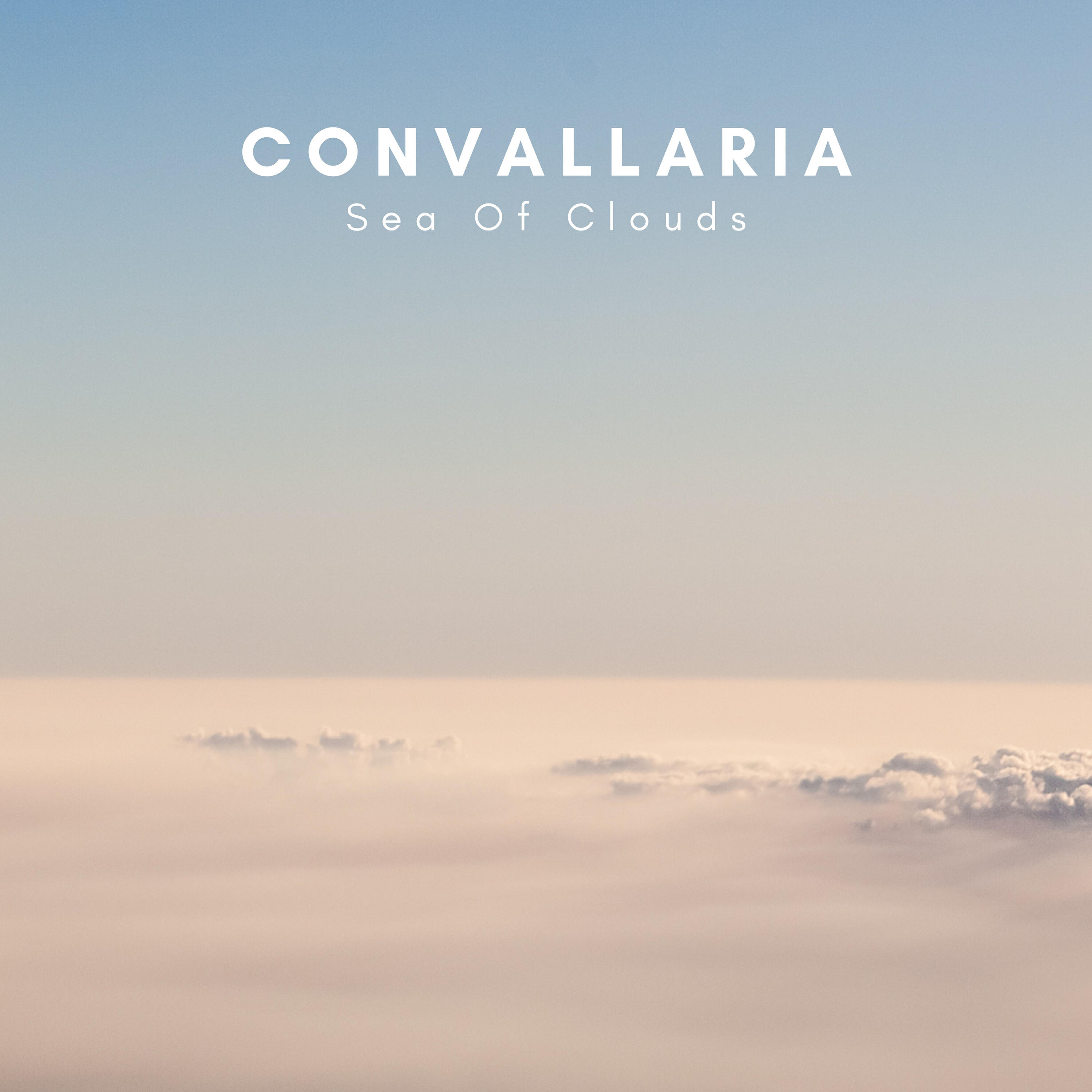 Convallaria