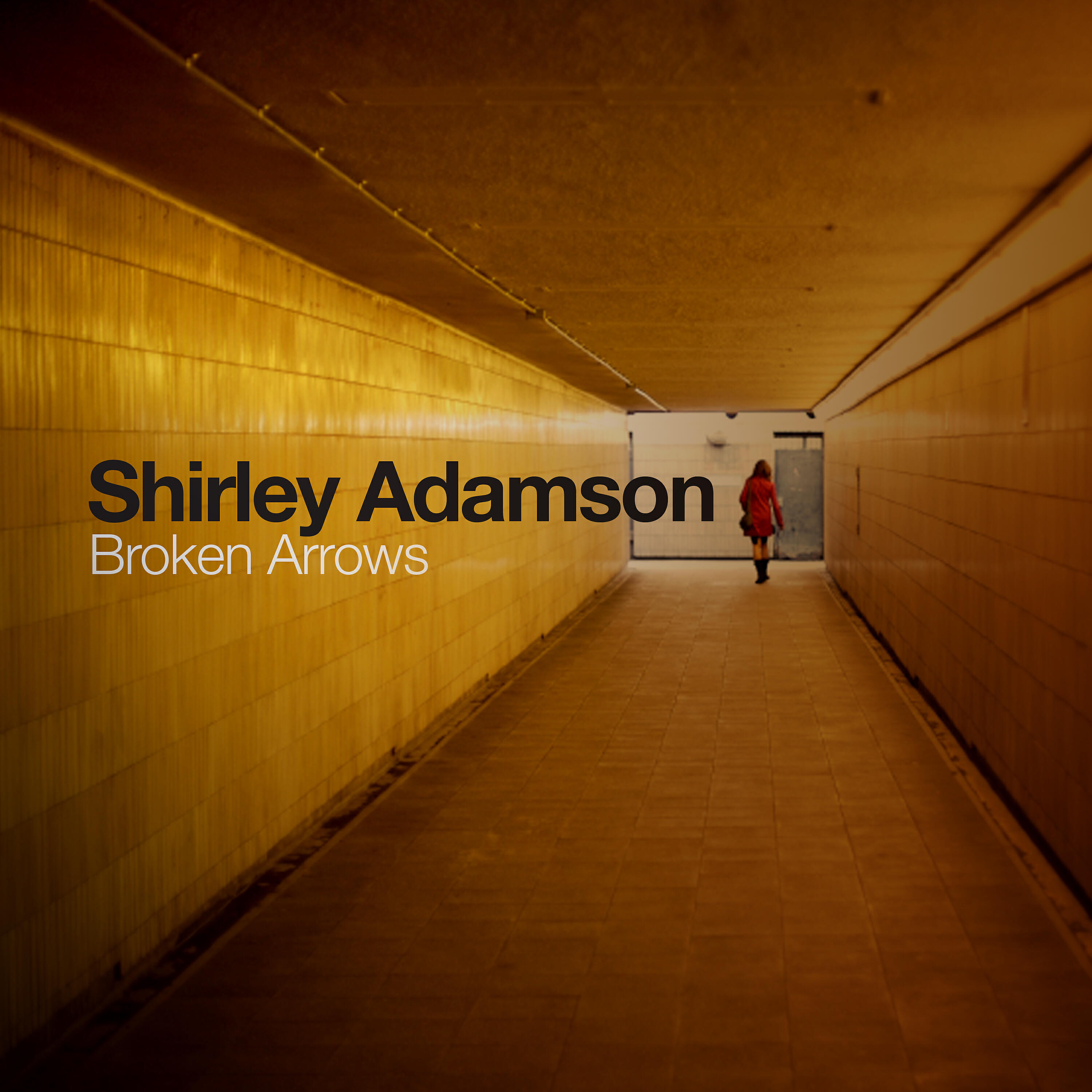 Скачать песню Shirley Adamson - Broken Arrows бесплатно в MP3 для Android и iOS
