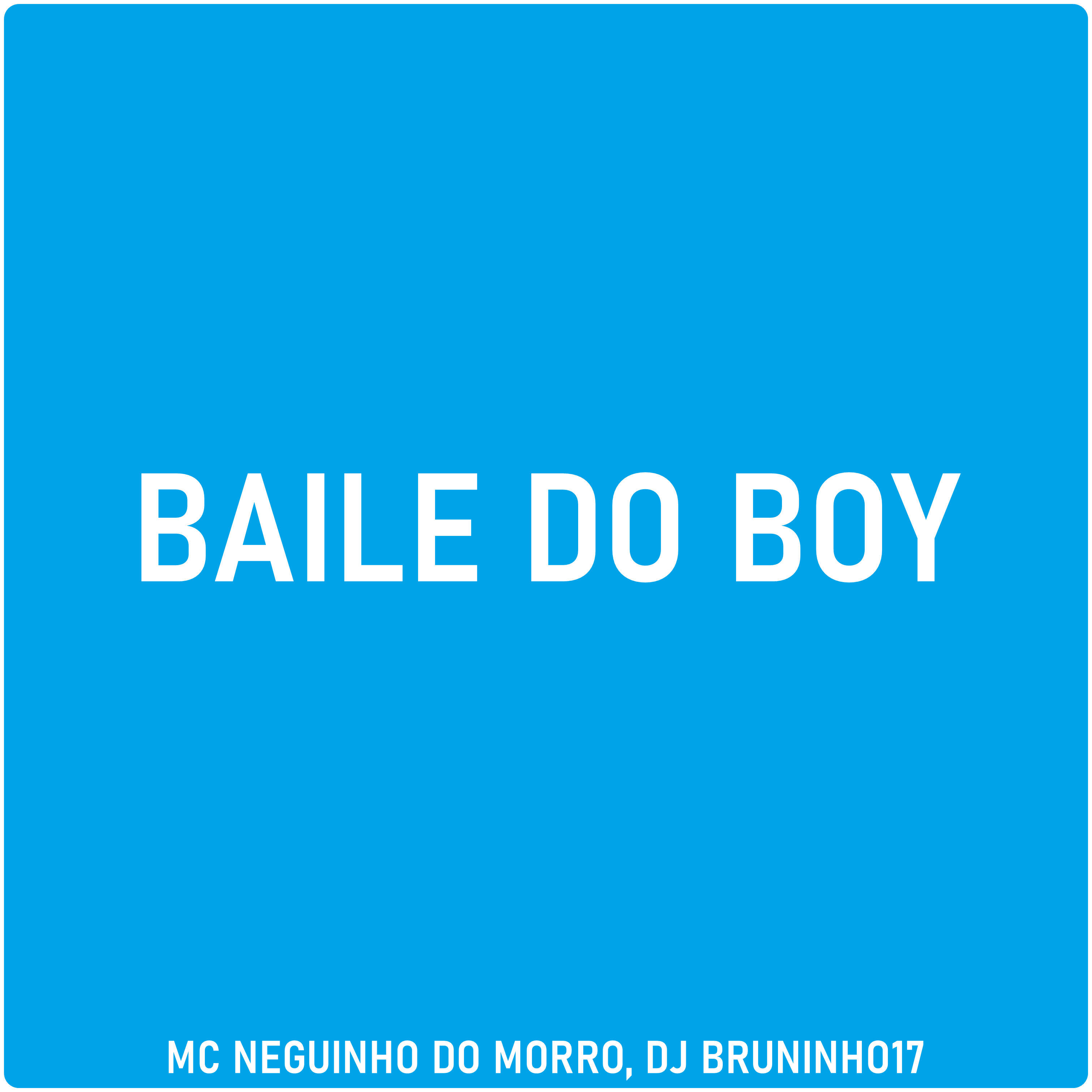Скачать песню DJ BRUNINHO 17, Mc Neguinho do Morro - Baile do Boy бесплатно в MP3 для Android и iOS