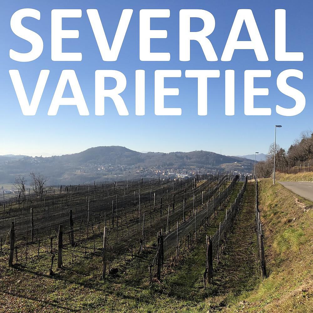 Релиз Several Varieties