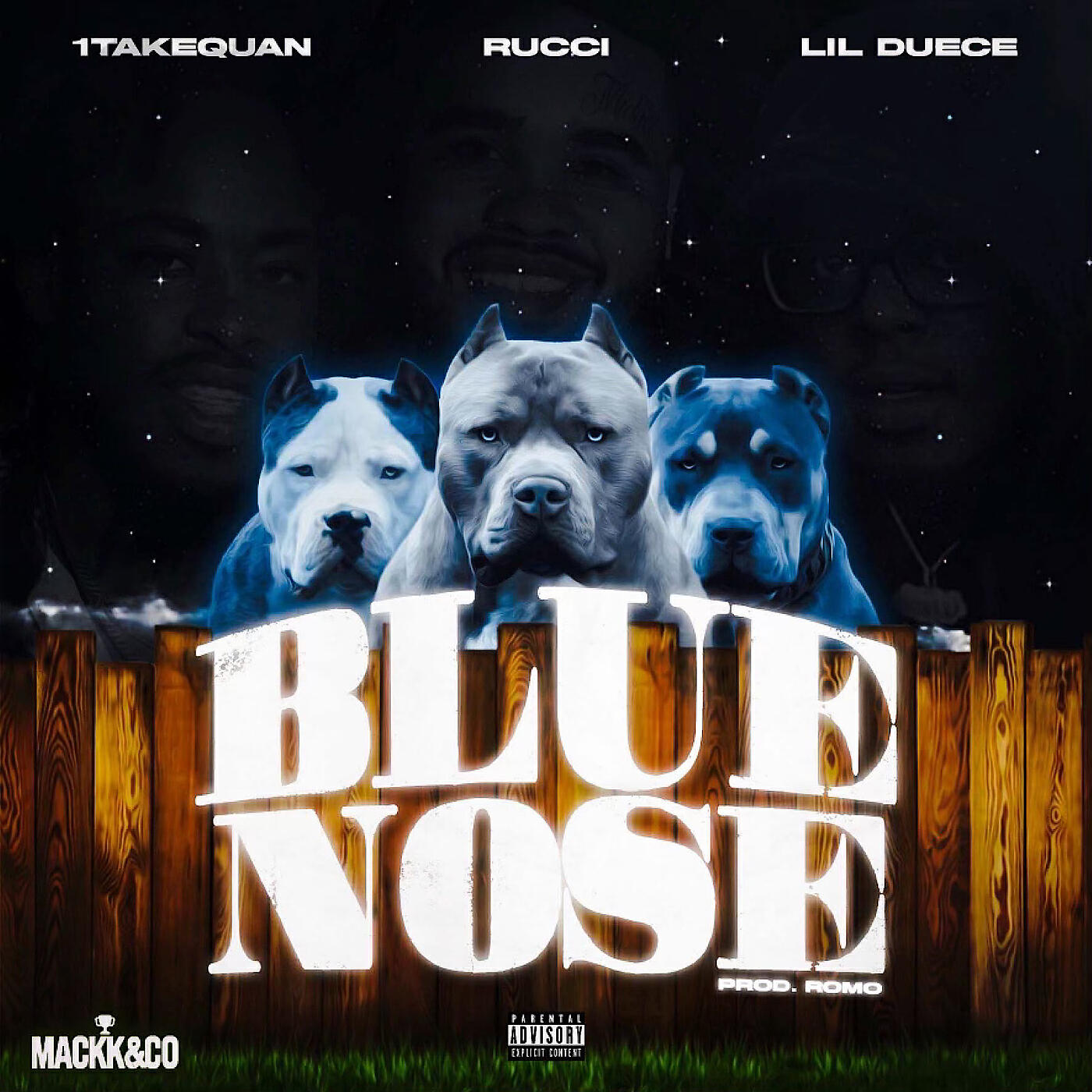 Релиз BlueNose