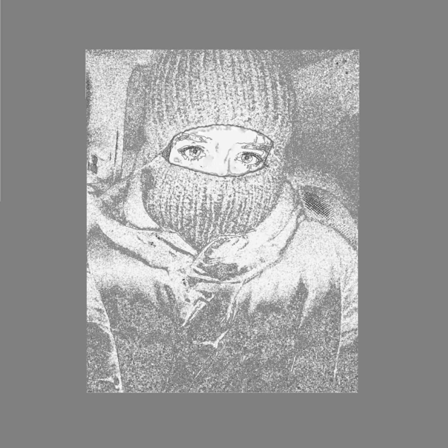 Постер альбома Воровка