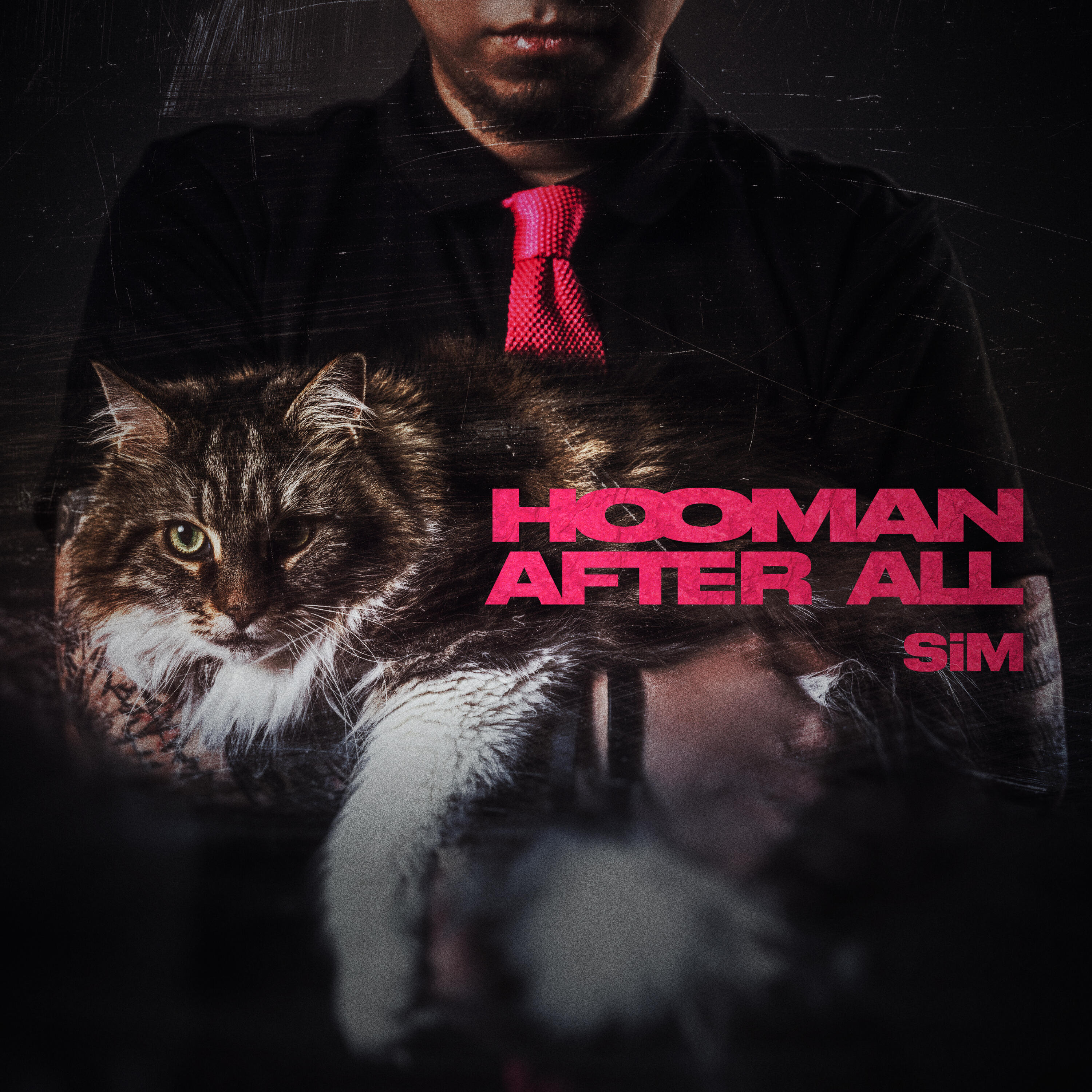 Релиз HOOMAN AFTER ALL