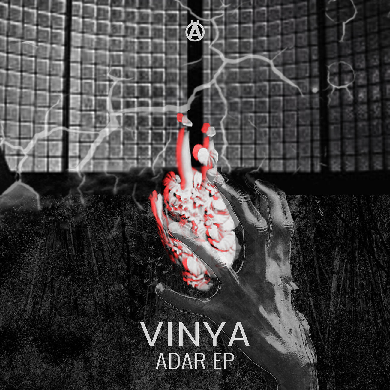 Релиз Adar EP