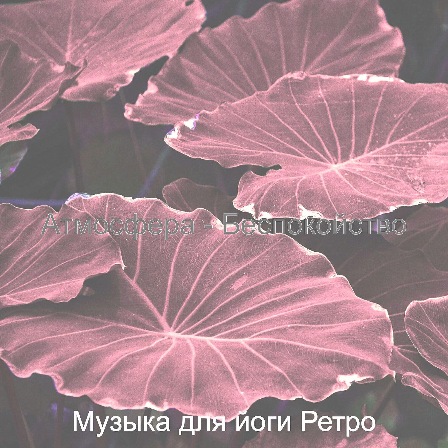Обложка альбома