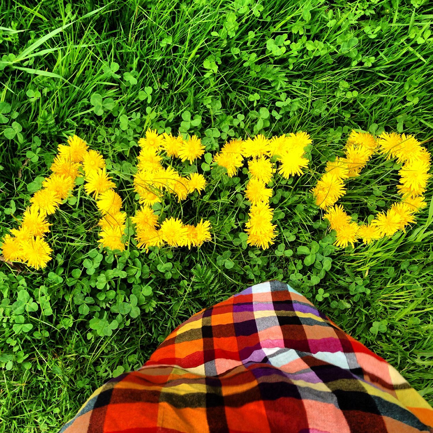 Релиз Лето