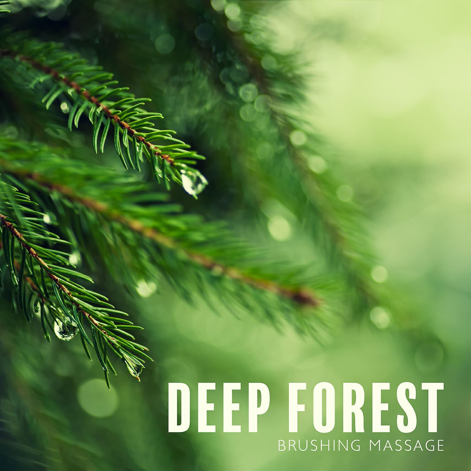 Релиз Deep Forest: Brushing Massage, Bath Foam Spa, Forest Aromatherapy, Nature Bathing, Hypersleep