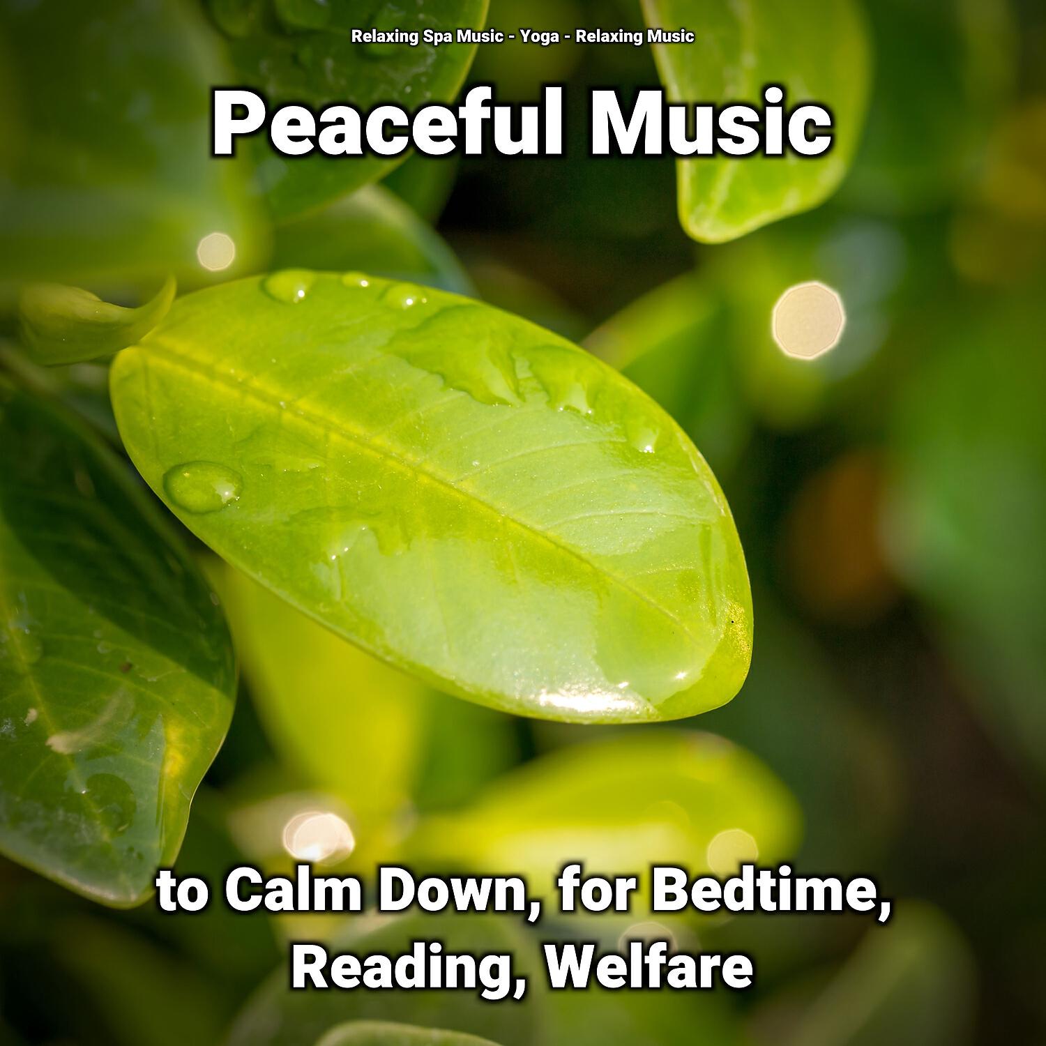 Релиз Peaceful Music to Calm Down, for Bedtime, Reading, Welfare