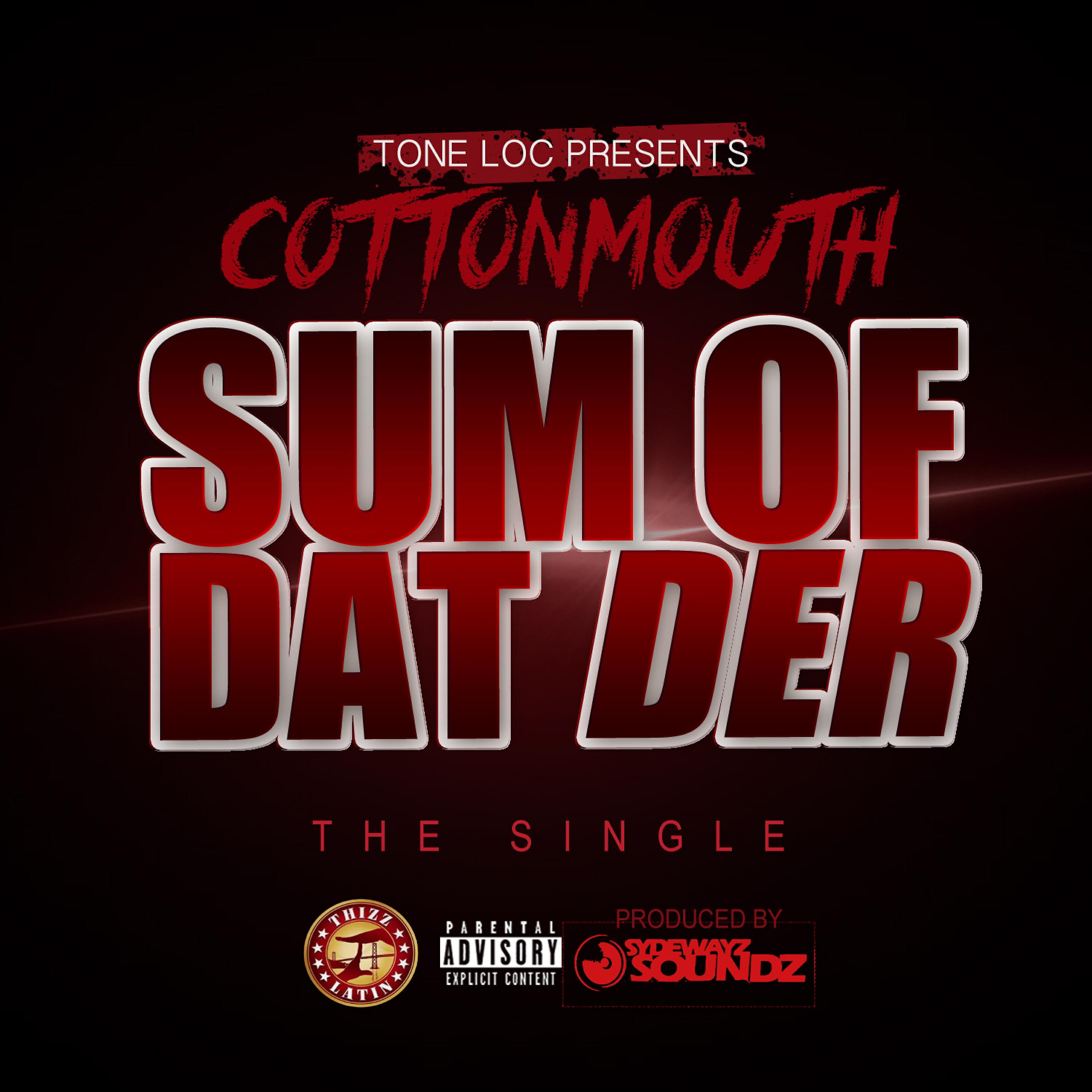 Релиз Sum of Dat Der - Single
